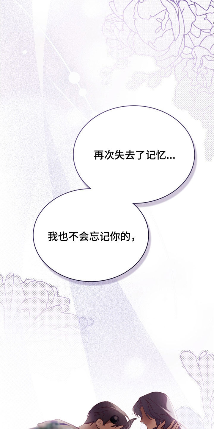 琥珀魅影免费漫画,第89话2图