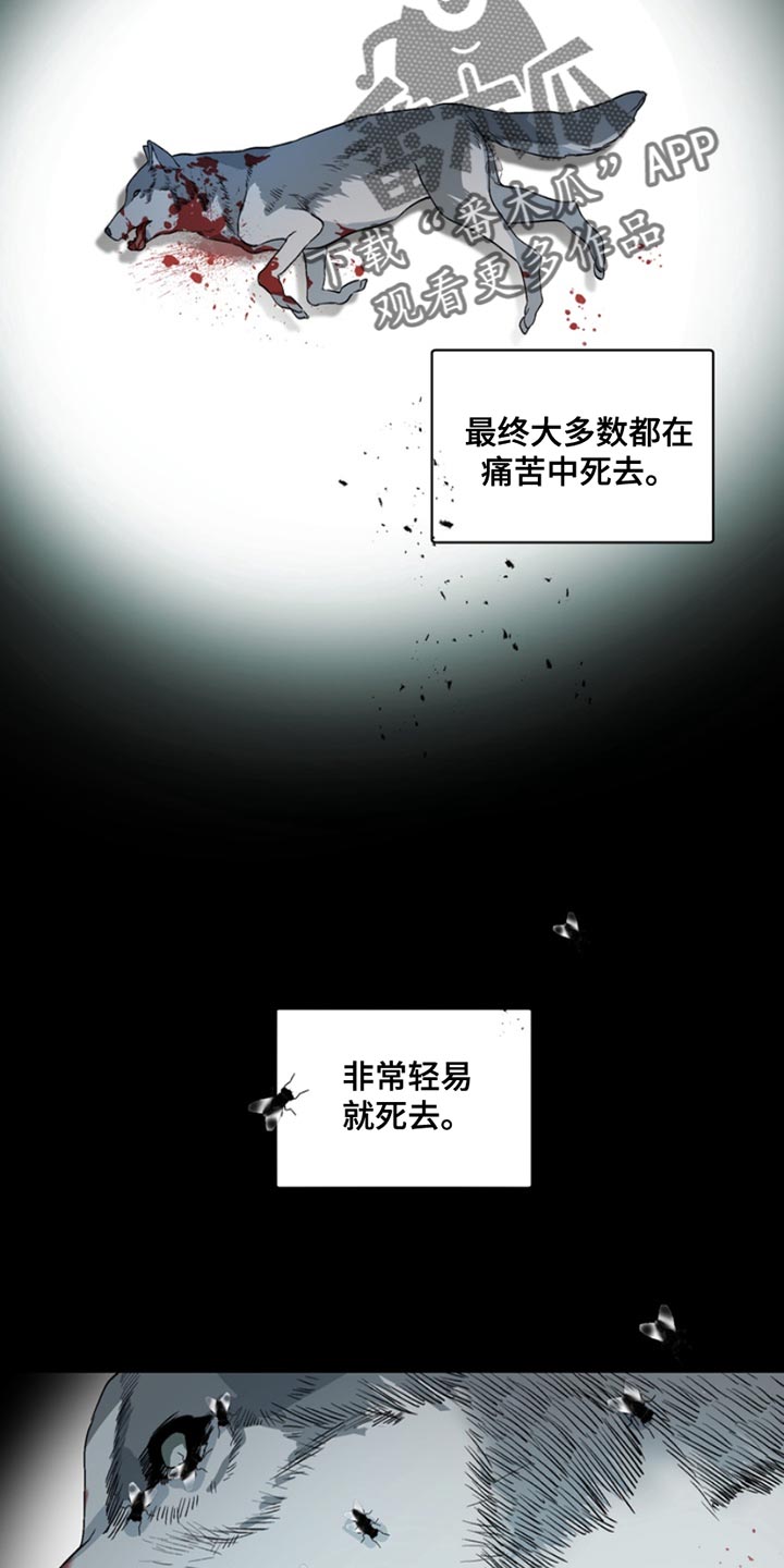 断脚命案漫画,第21话1图