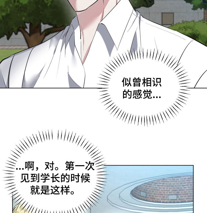 红蛇全集观看漫画,第31话2图