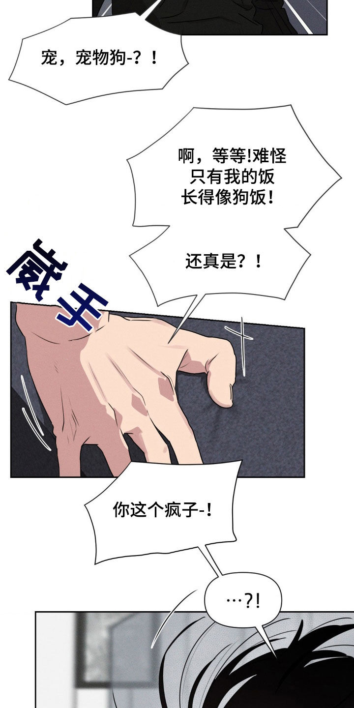狗与酒漫画,第47话1图