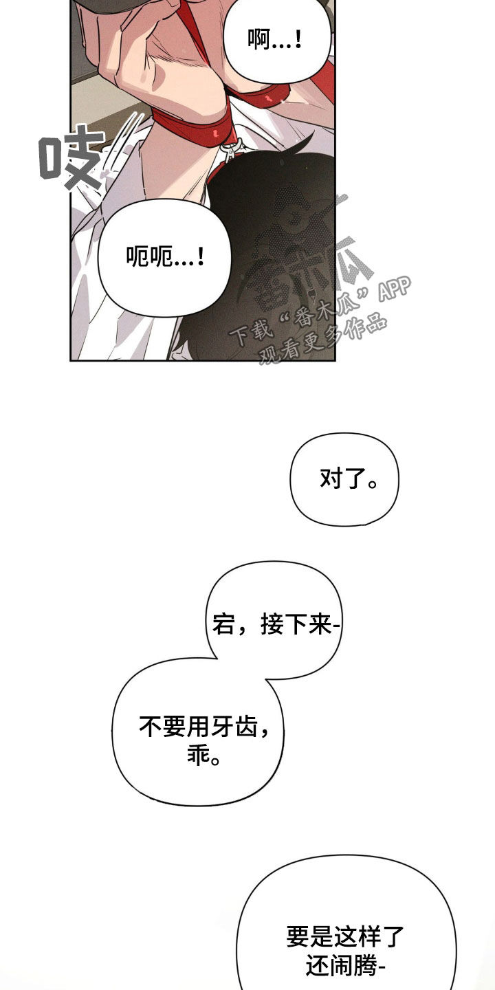 狗与酒图片漫画,第28话1图