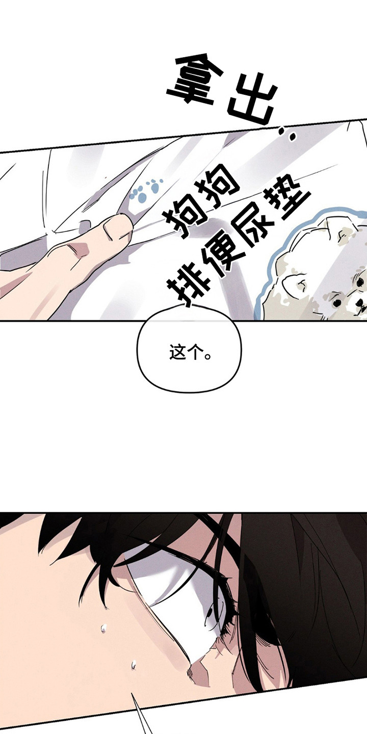 狗与狗能相配吗漫画,第5话1图