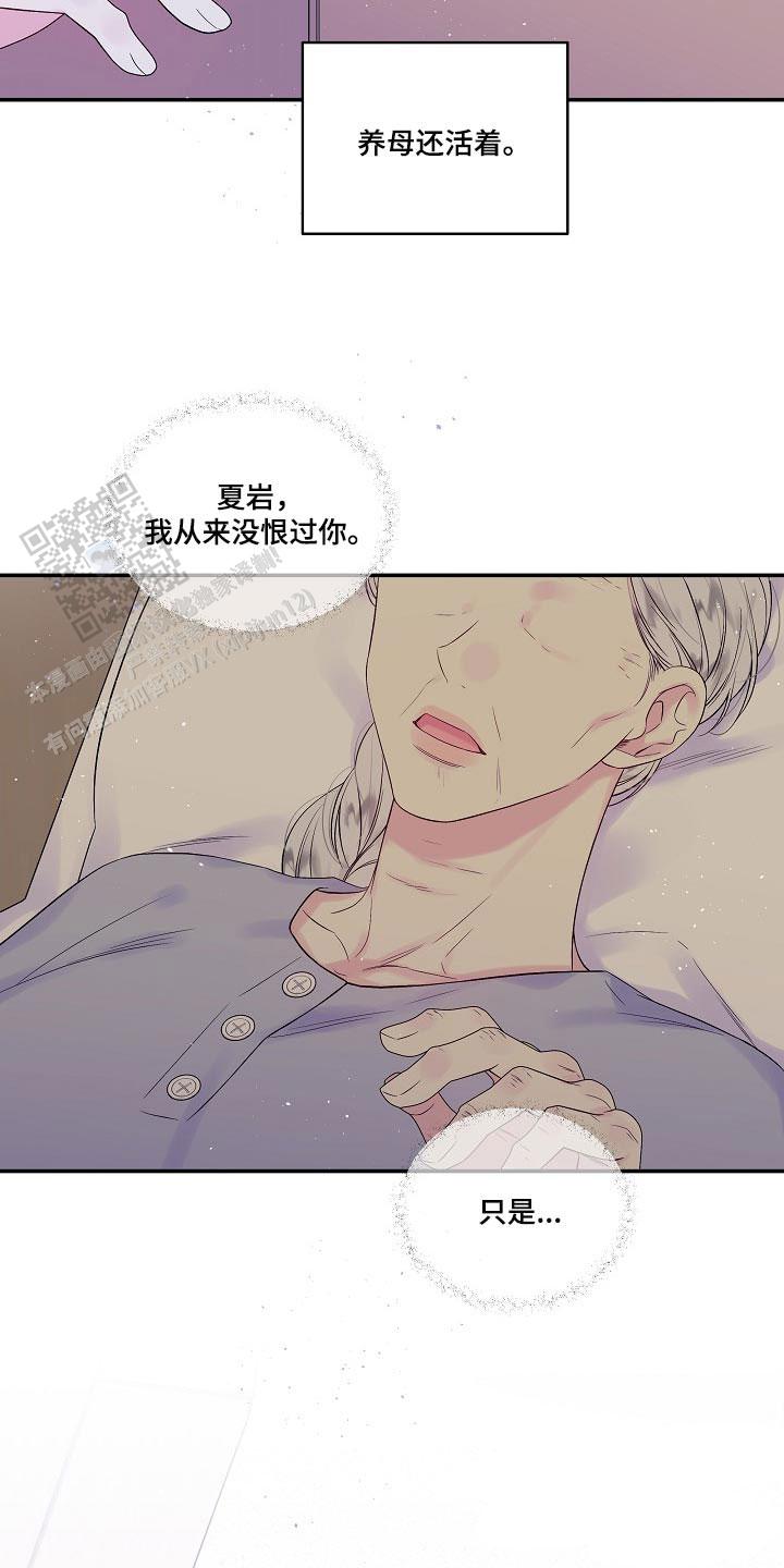 第二个黎明韩漫漫画,第37话2图
