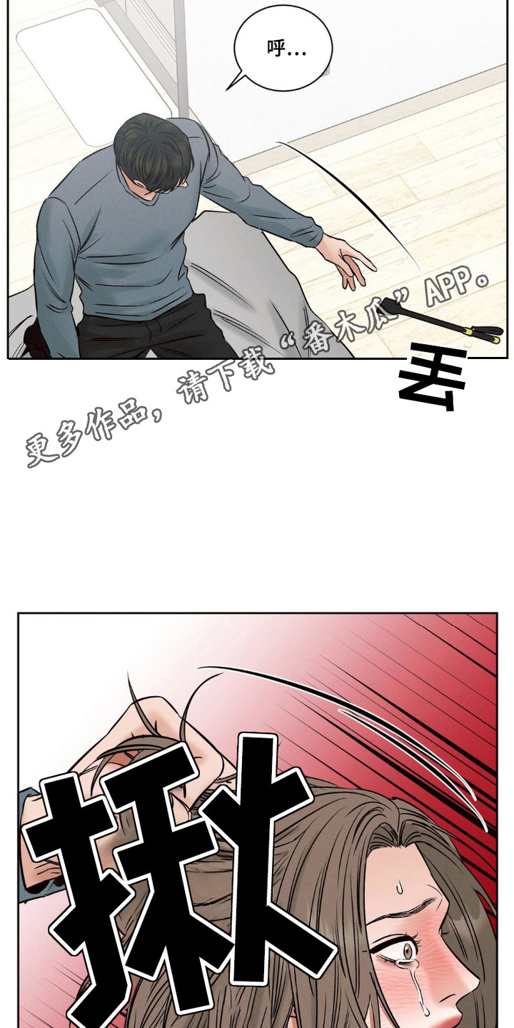 双山颗粒有消炎作用吗漫画,第10话1图