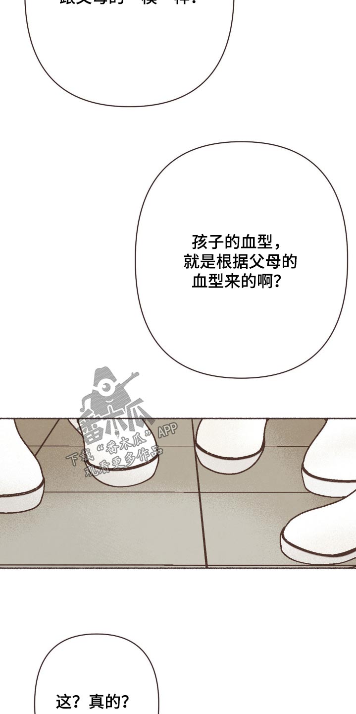 萍聚似首诗你我的故事漫画,第33话2图