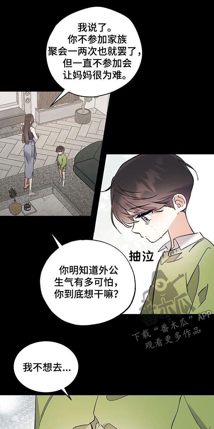 流星坠落的速度是每秒五千米漫画,第46话2图
