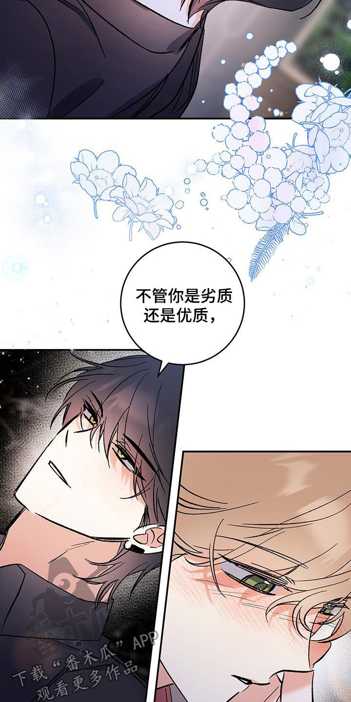 流星坠落的速度是每秒五千米漫画,第55话1图