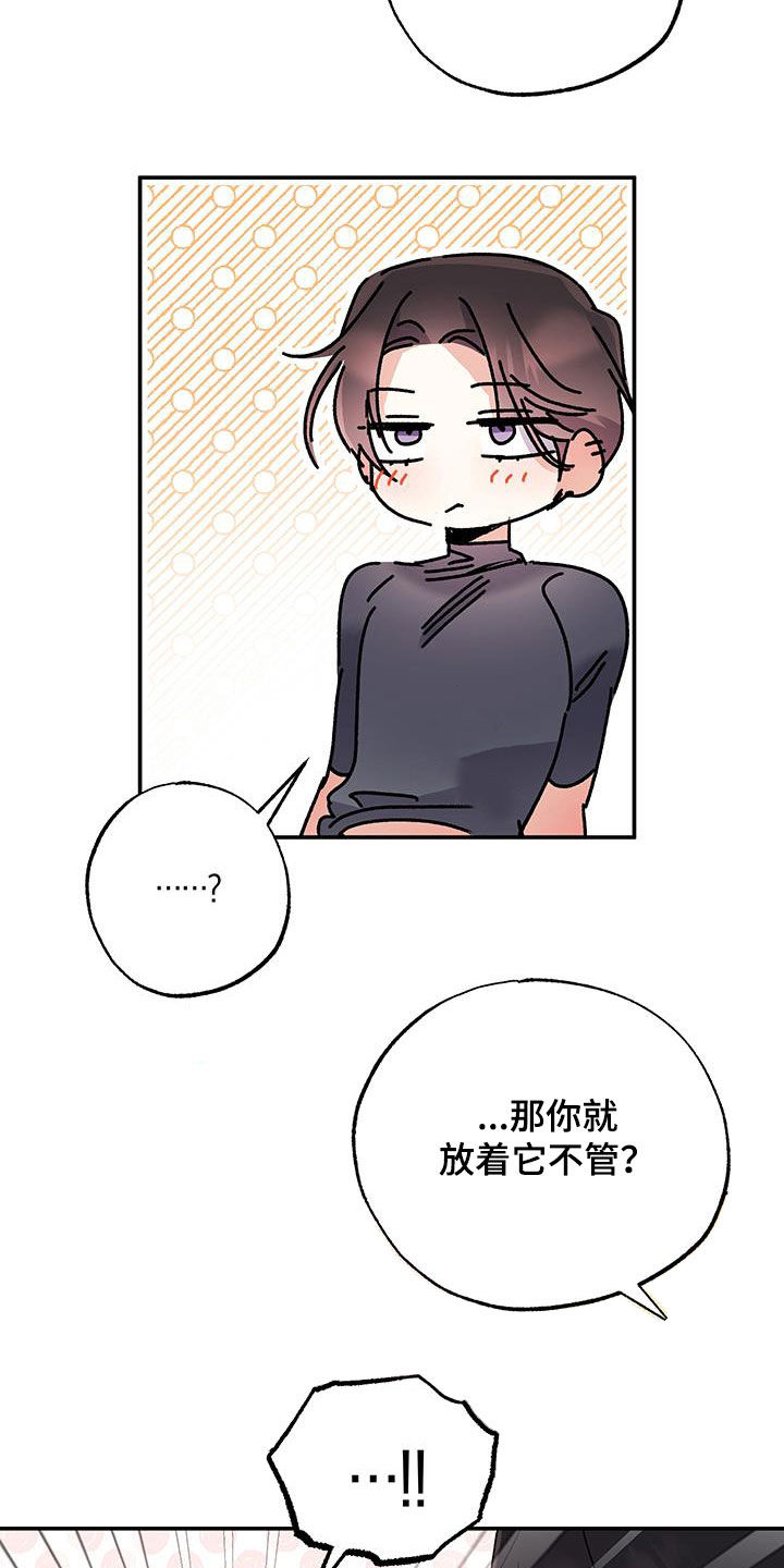 流星坠落之处漫画免费观看漫画,第43话1图