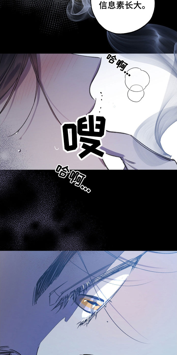 流星坠落漫画,第35话2图