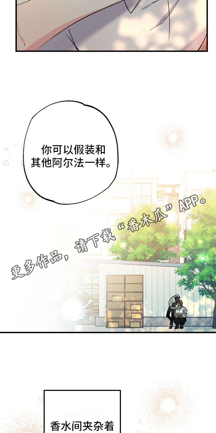 流星坠落之处漫画免费观看漫画,第8话1图