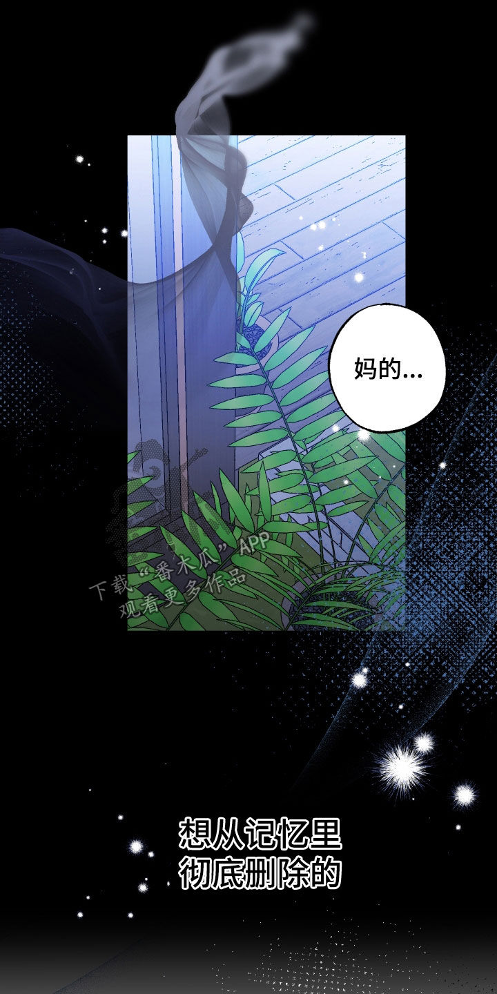 流星坠落漫画,第36话1图