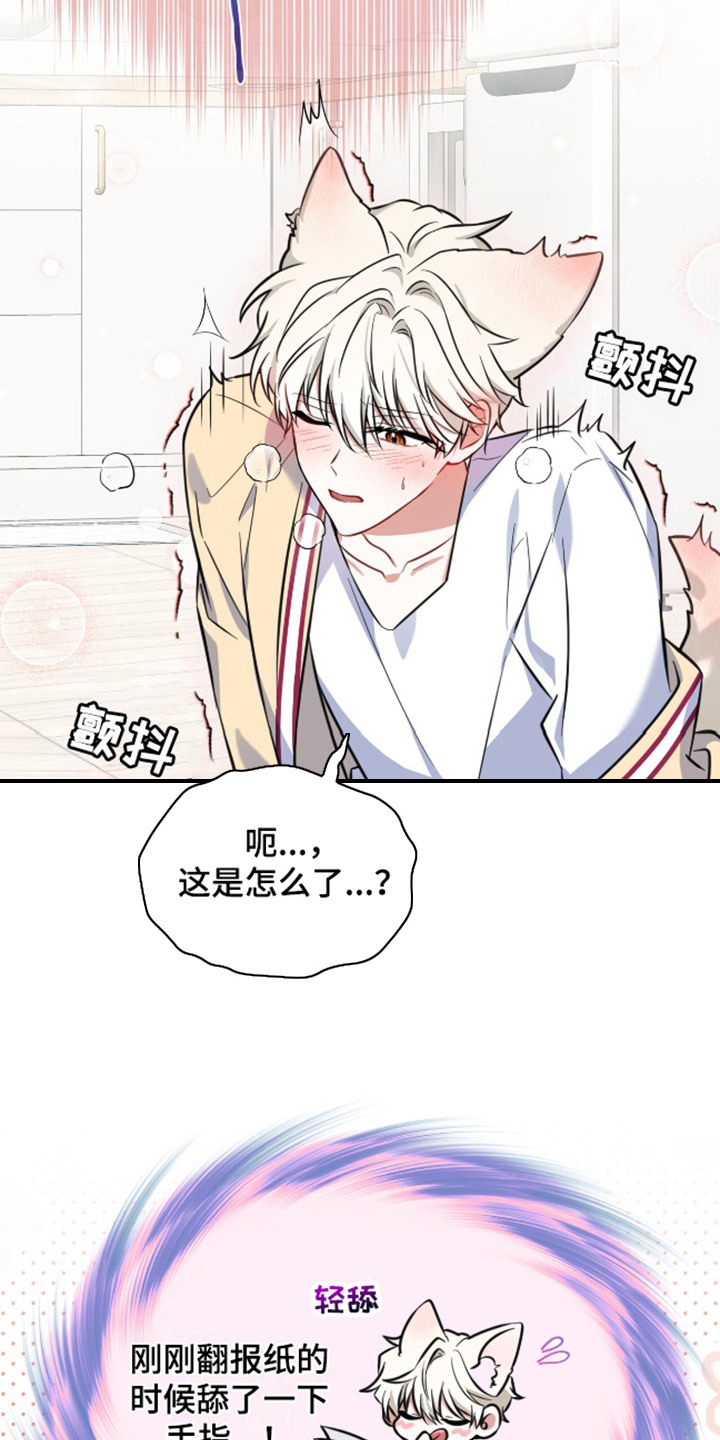 弗林的狐狸饮料漫画,第4话1图