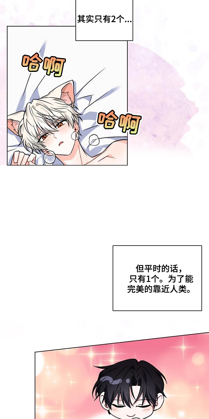 弗林的狐狸饮料漫画,第21话2图