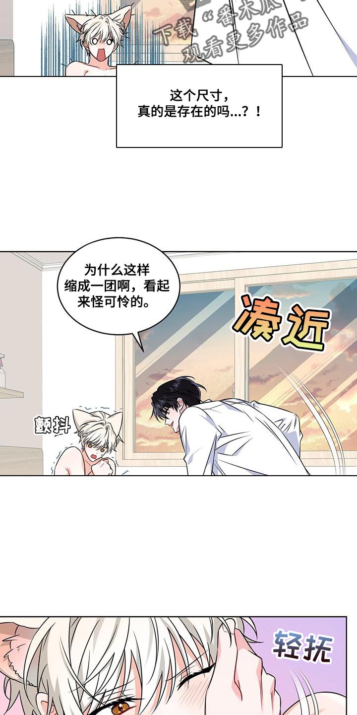 弗林的狐狸饮料漫画,第18话2图