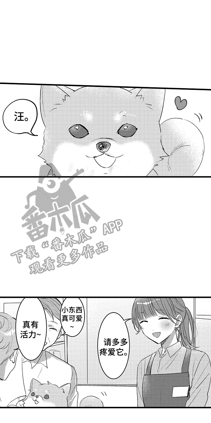 我想当你的汪漫画,第2话2图