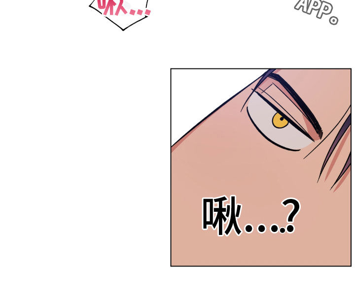龙神太子国语在线看高清漫画,第15话1图