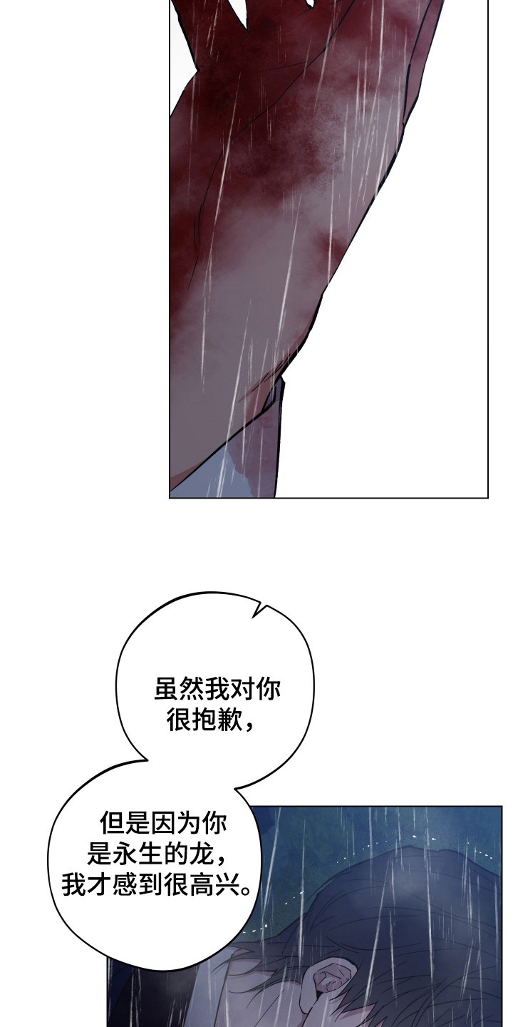 龙神大陆漫画,第101话1图