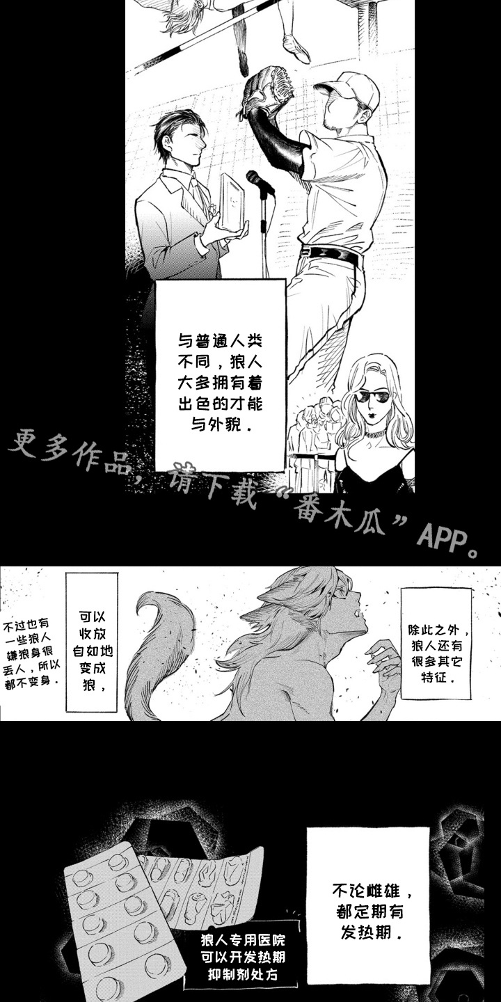 一只狼的战斗力有多强漫画,第1话2图