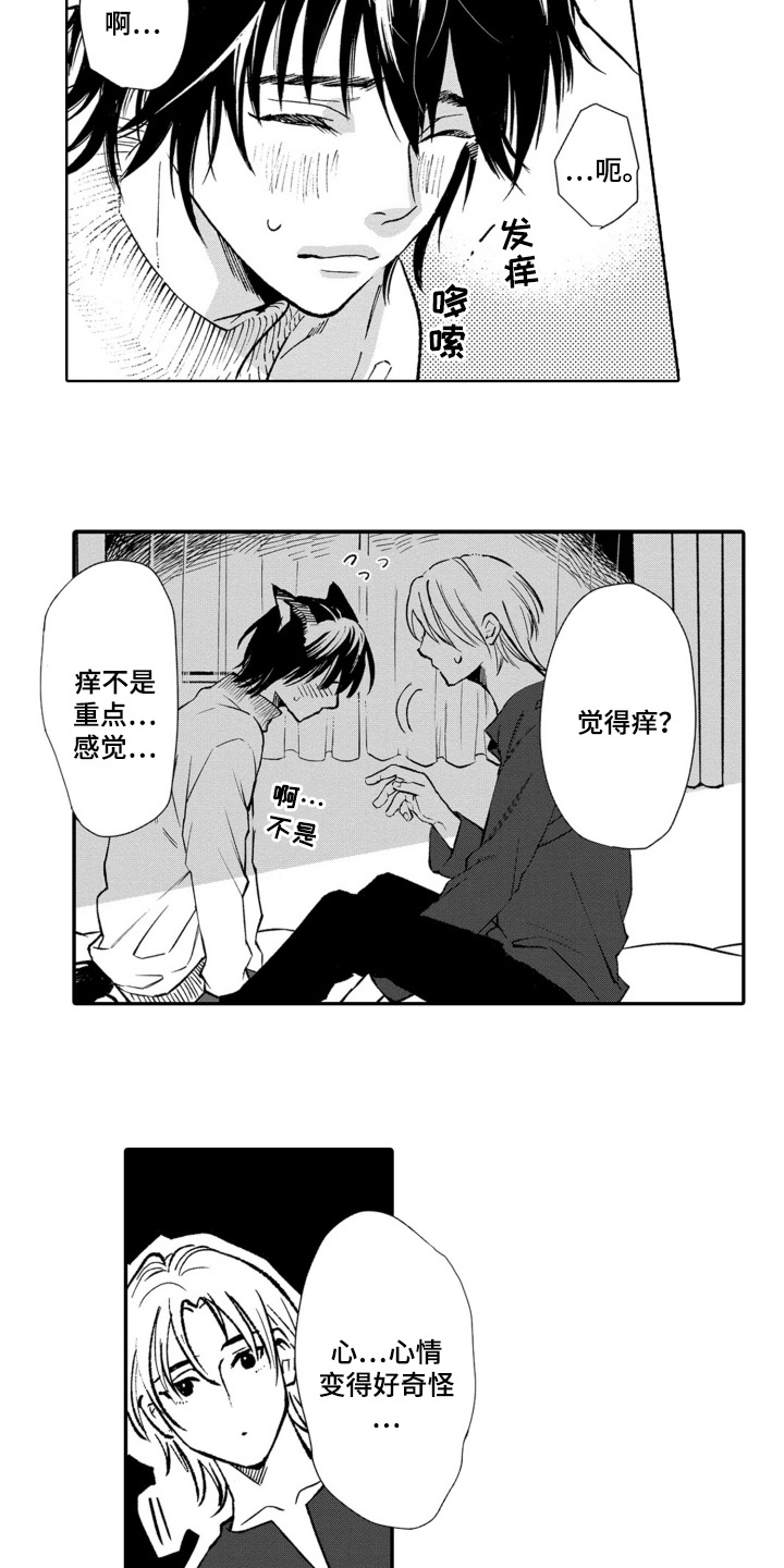 一只狼抱着女子霸气图片漫画,第29话1图