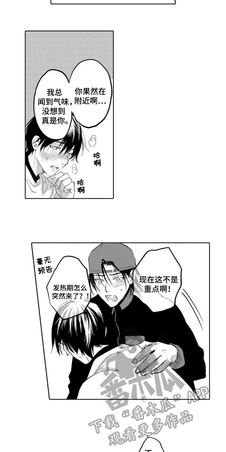 一只狼身上插满箭的图片漫画,第20话2图