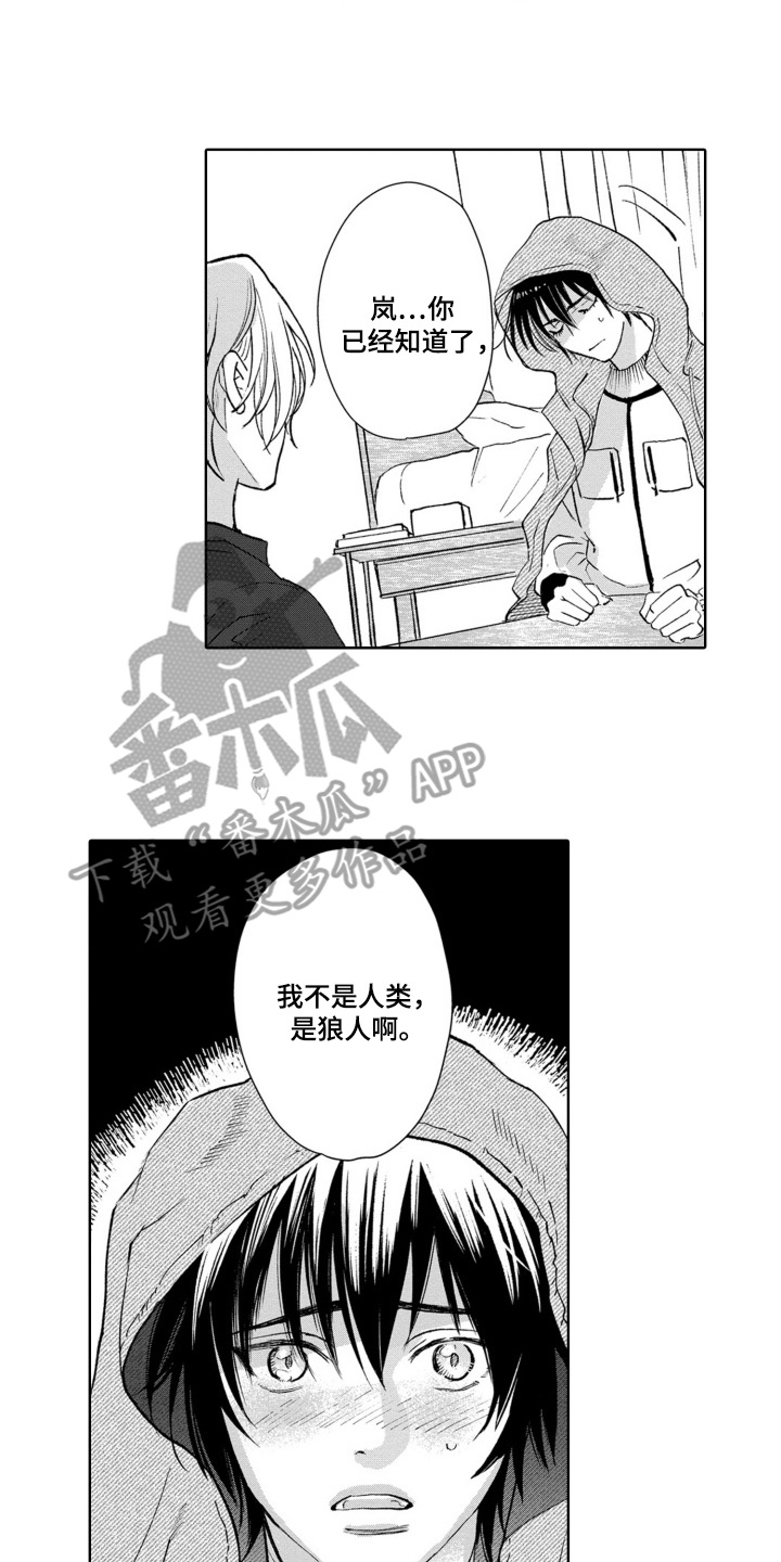 一只狼一只羊一棵白菜怎样过河漫画,第28话2图