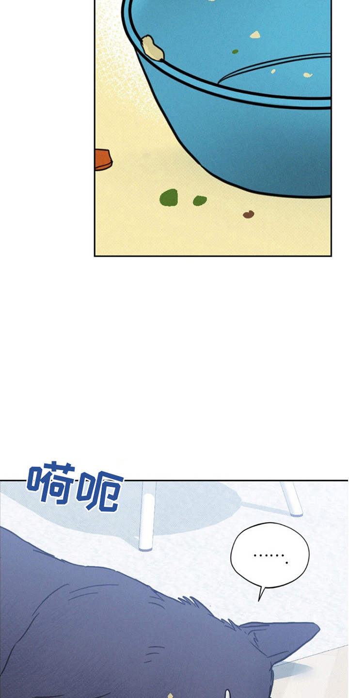 圆月变身漫画在线观看漫画,第9话1图