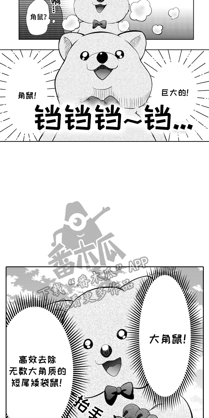 我想成为袋鼠漫画,第9话2图