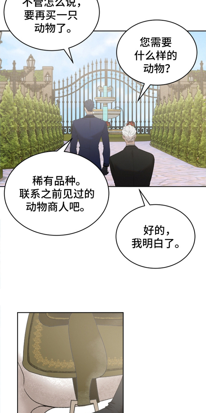 白鸟奇遇记漫画,第22话1图