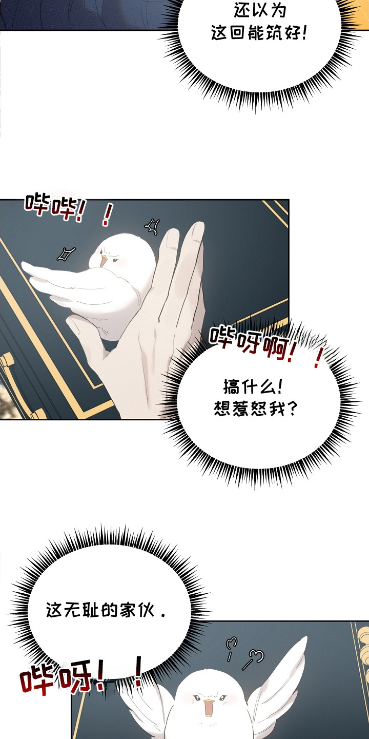 白鸟奇遇记漫画,第20话1图