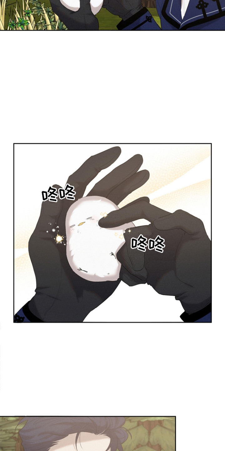 白鸟奇遇记漫画,第24话1图