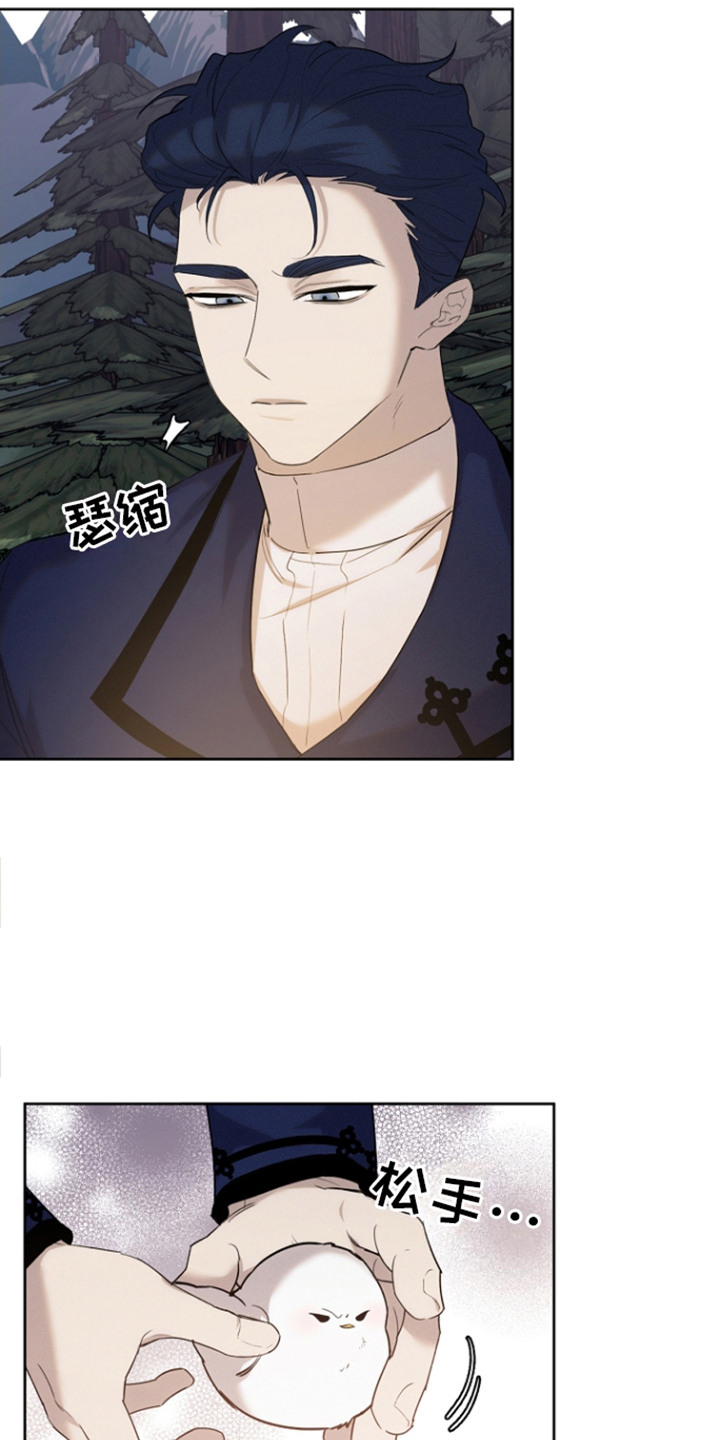 白鸟奇遇记漫画,第26话1图