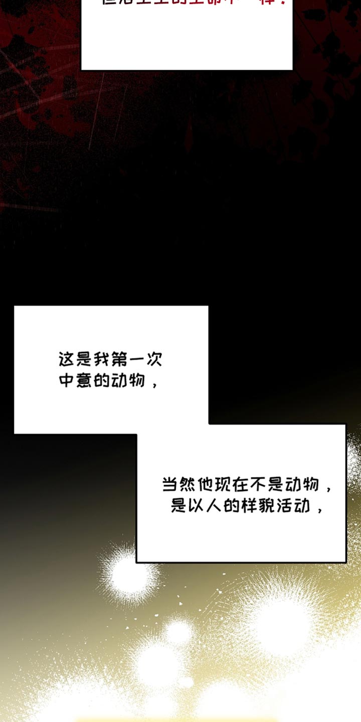 白鸟奇遇记漫画,第61话1图