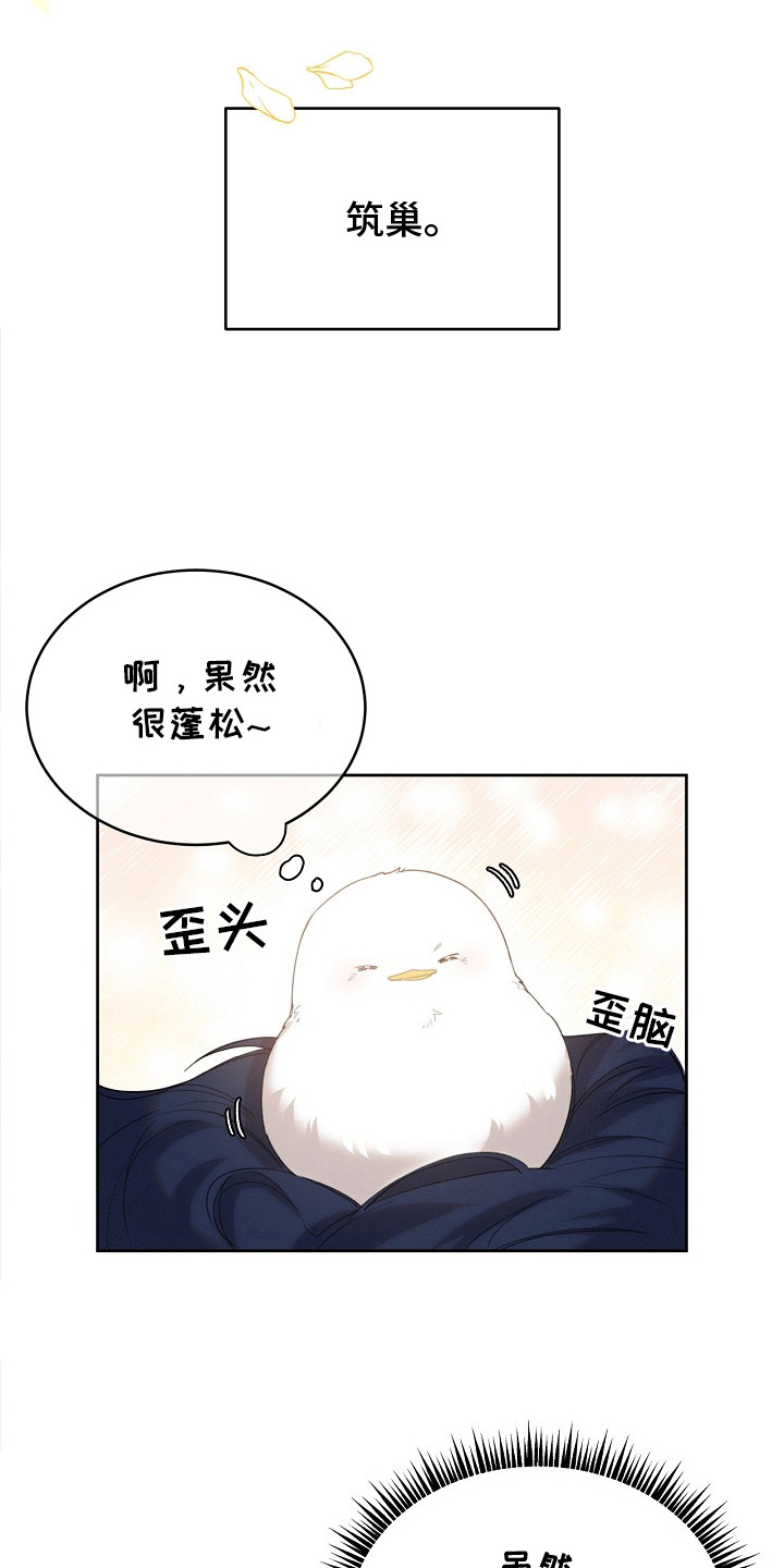 白鸟奇遇记漫画,第20话2图