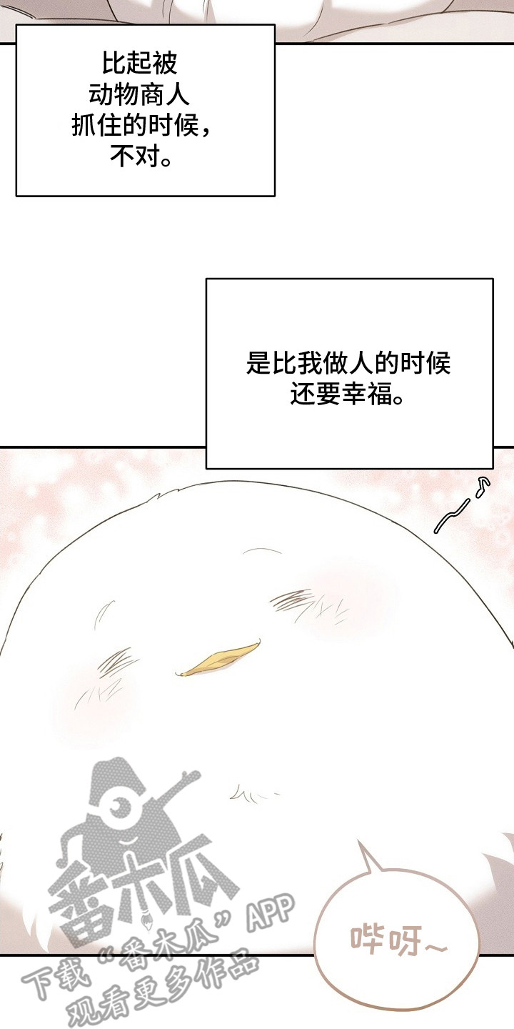 白鸟奇遇记漫画,第18话1图