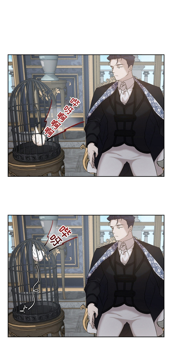 白鸟奇遇记漫画,第9话1图