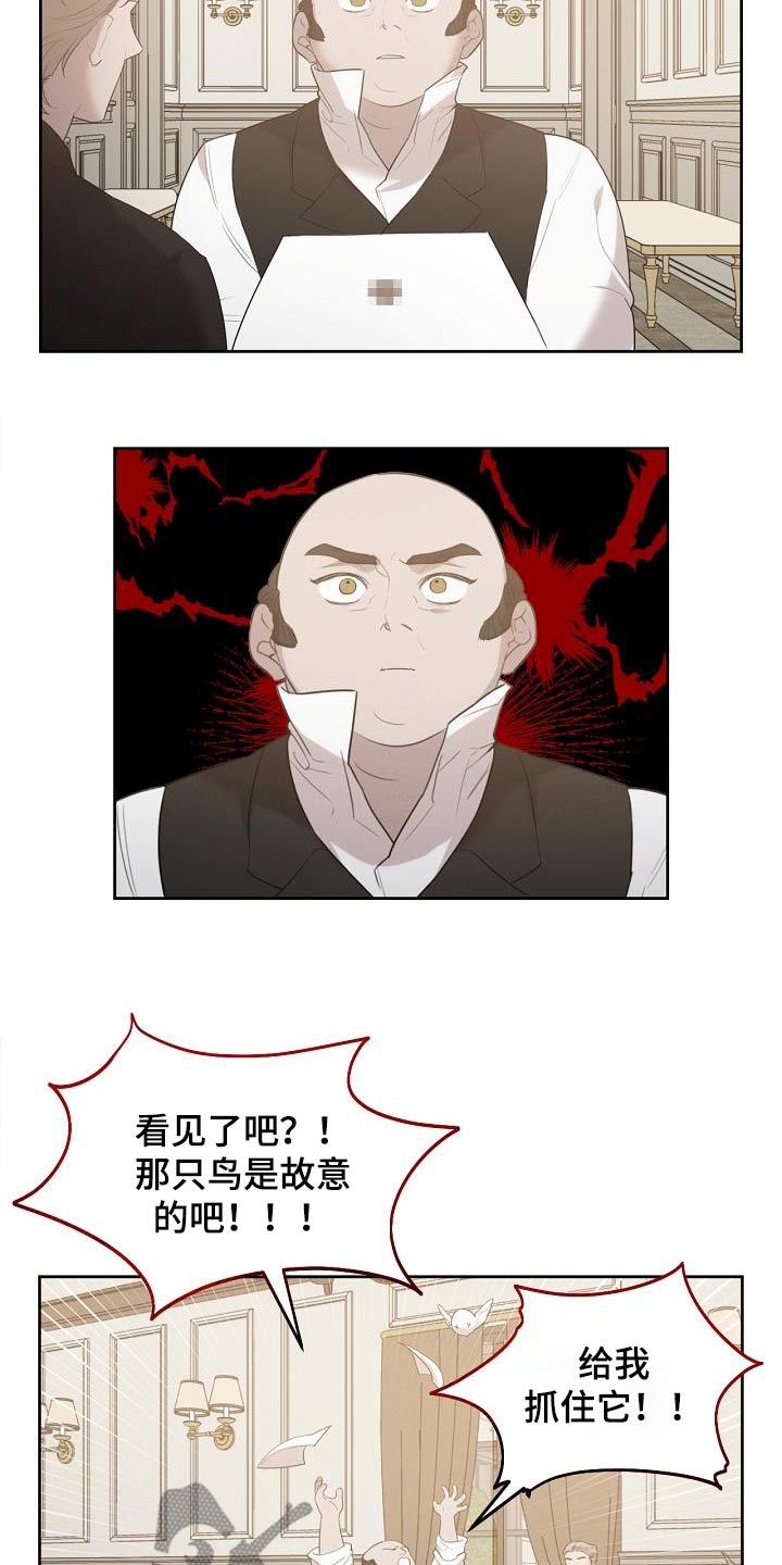 白鸟奇遇记漫画,第38话1图