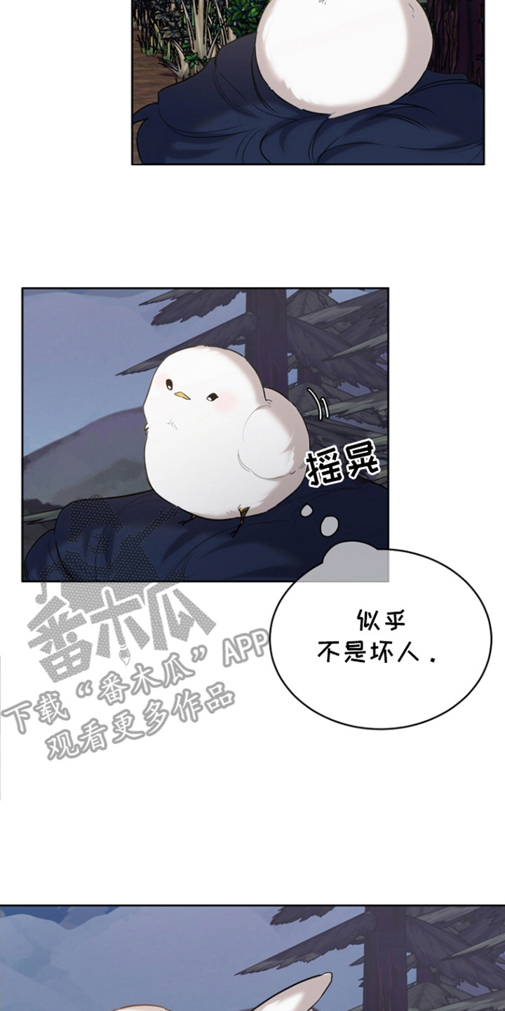 白鸟奇遇记漫画,第25话2图