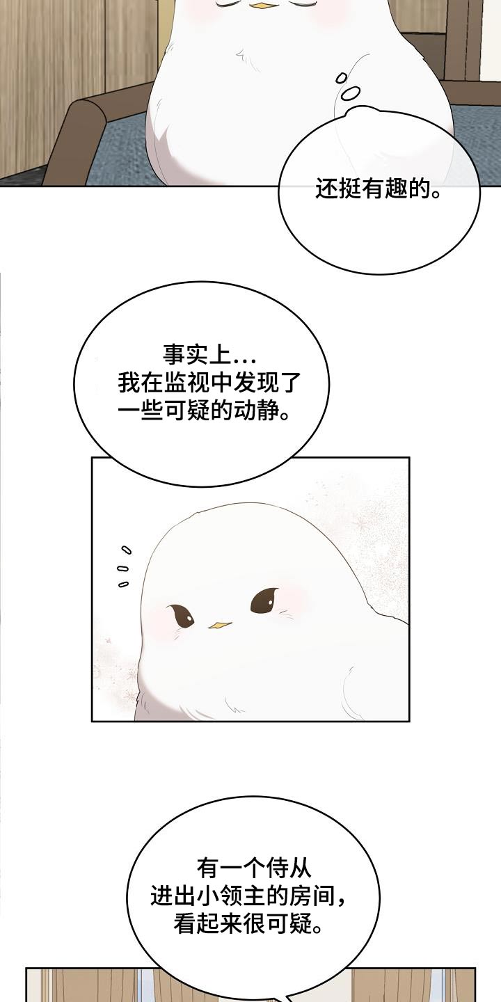 白鸟奇遇记漫画,第38话1图