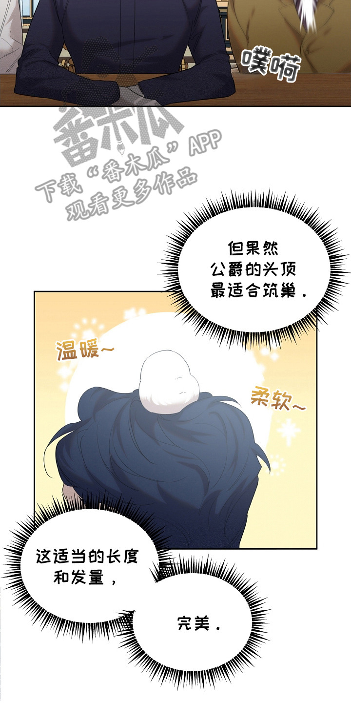 白鸟奇遇记漫画,第20话2图