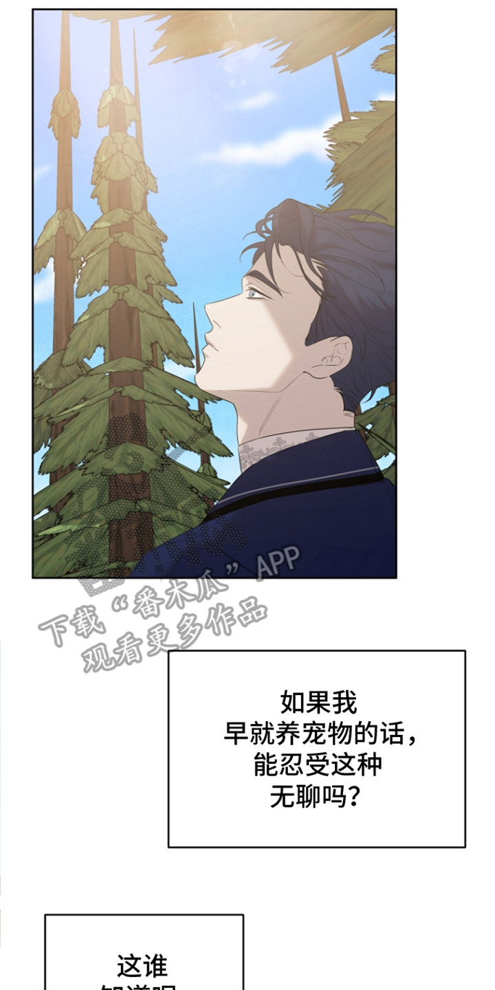 白鸟奇遇记漫画,第22话1图