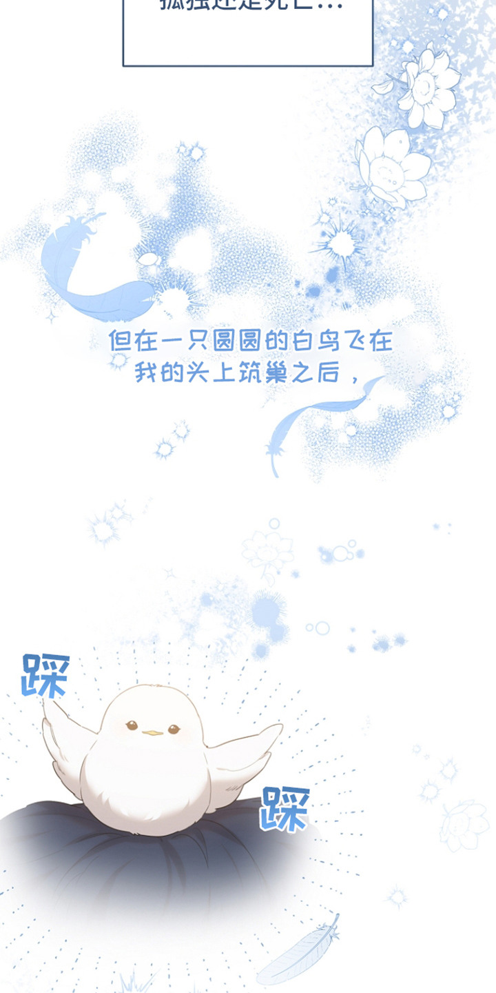白鸟奇遇记漫画,第22话1图