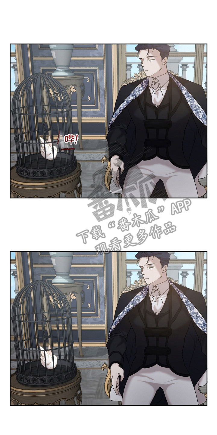 白鸟奇遇记漫画,第9话2图