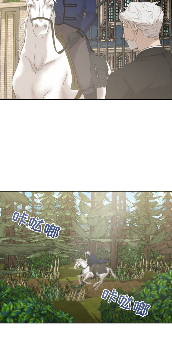 白鸟奇遇记漫画,第22话1图