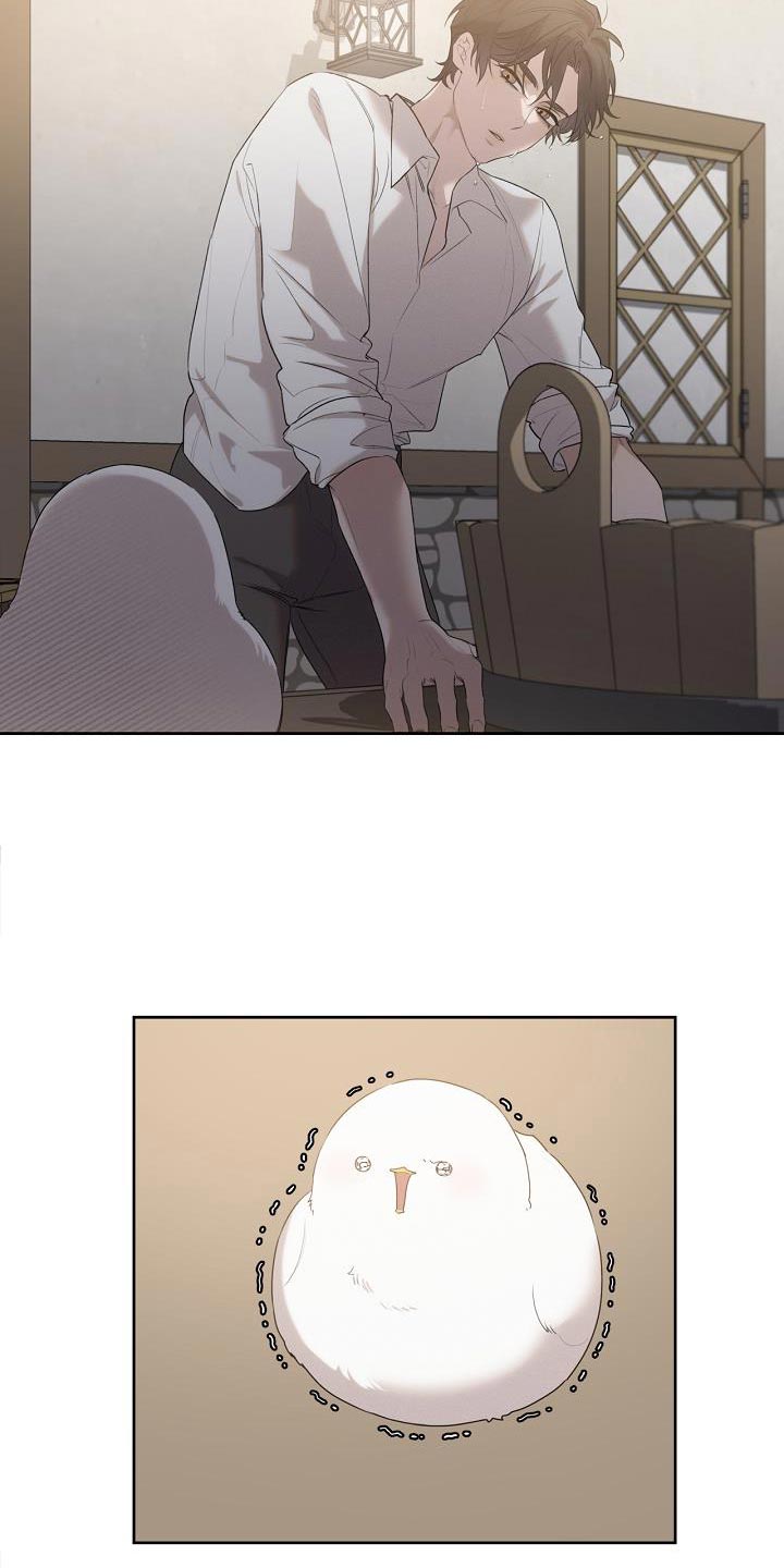 白鸟奇遇记漫画,第33话2图