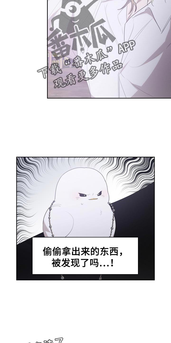 白鸟奇遇记漫画,第40话1图