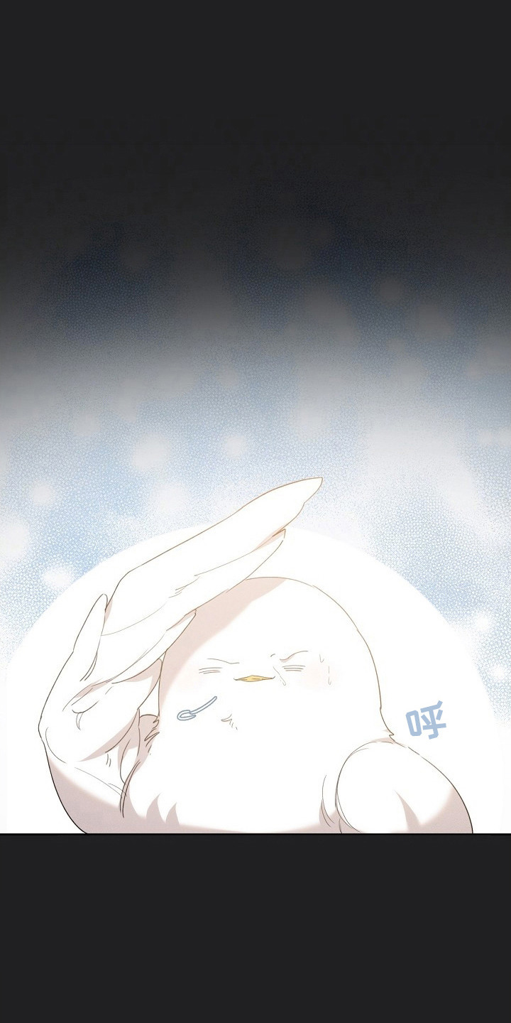 白鸟奇遇记漫画,第18话1图
