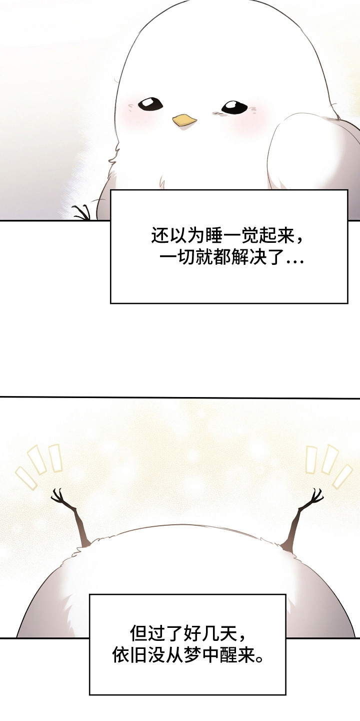 白鸟奇遇记漫画免费观看漫画,第4话1图