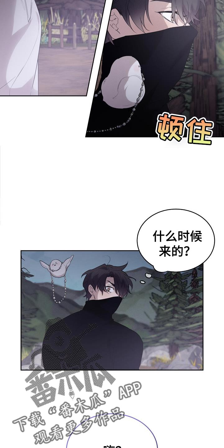 白鸟奇遇记漫画,第40话1图
