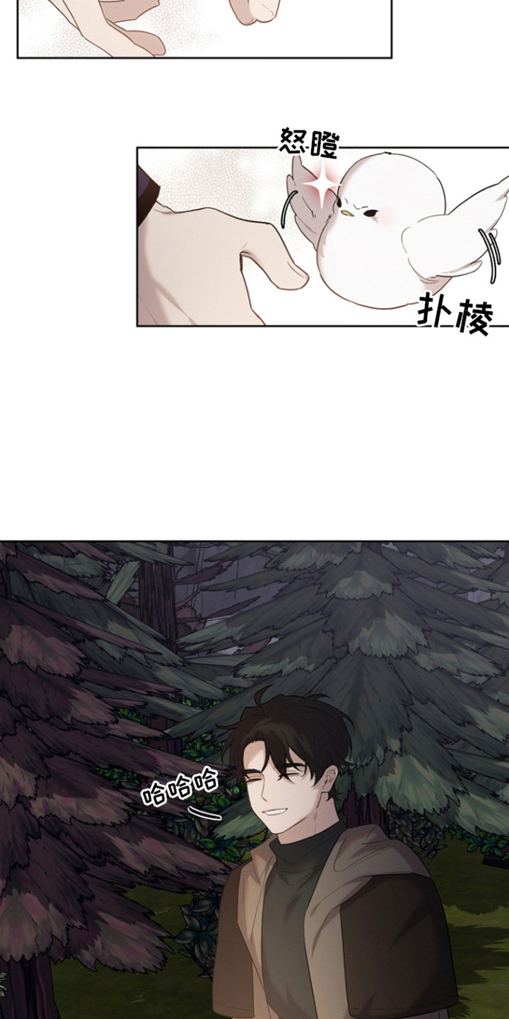 白鸟奇遇记漫画,第26话2图