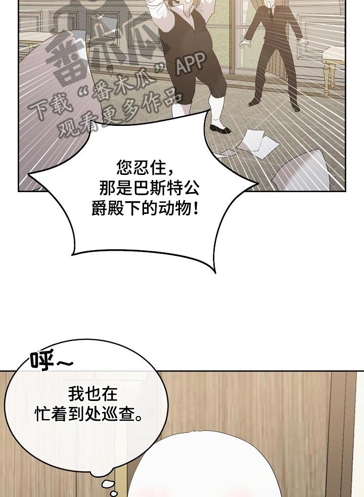 白鸟奇遇记漫画,第38话2图